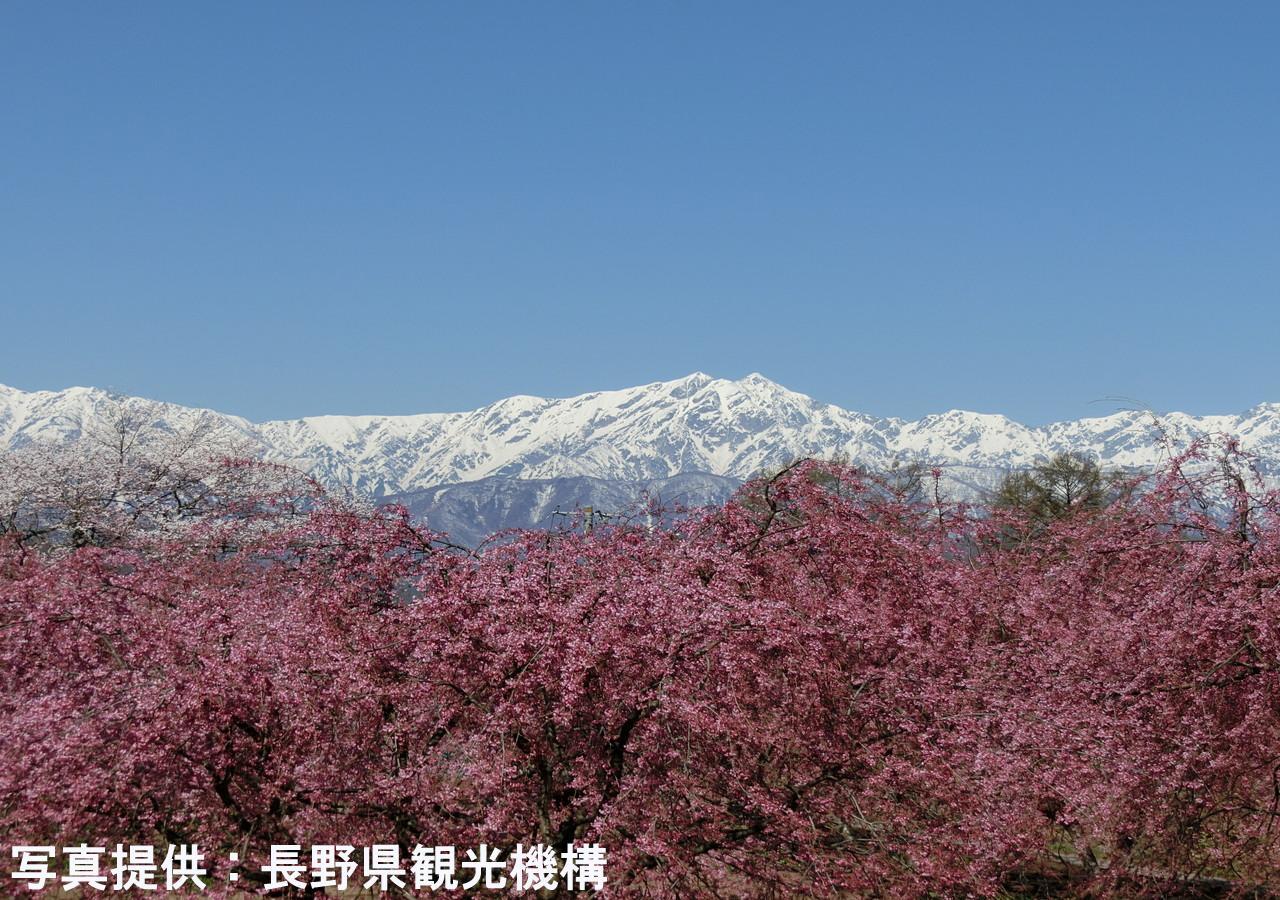 Shioriya Hotel Nagano Buitenkant foto